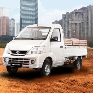 Mini Truck